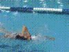 Cap0003.jpg