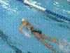 Cap0008.jpg