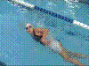 Cap0010.jpg