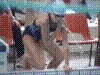 Cap0017.jpg