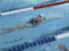 Cap0021.jpg