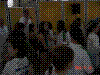 DSC00520.jpg