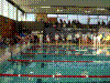 P3090007.jpg