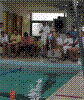 DSC00535.jpg
