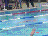 DSC00286.JPG