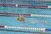 DSC00289.JPG