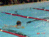 DSC00303.JPG