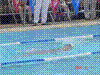 DSC00333.JPG