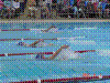DSC00335.JPG