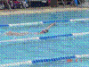 DSC00340.JPG