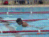 DSC00348.JPG