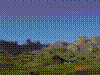 DSC00447.jpg