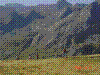 DSC00458.jpg