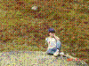 DSC00460.jpg