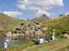 DSC00466.jpg