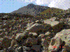 DSC00467.jpg