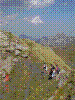 DSC00478.jpg