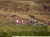 IMAG0003.JPG