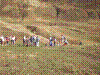 IMAG0004.JPG