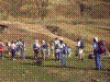 IMAG0005.JPG