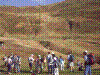 IMAG0006.JPG