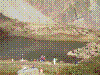IMAG0010.JPG