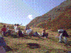 IMAG0011.JPG