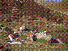 IMAG0012.JPG