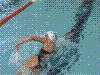 Cap0222.jpg