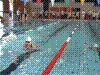 Cap0241.jpg