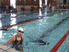 Cap0242.jpg