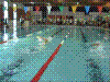 Cap0245.jpg