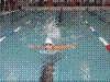 Cap0284.jpg