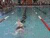 Cap0286.jpg