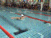 Cap0293.jpg