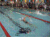 Cap0295.jpg