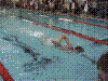 Cap0299.jpg