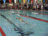 Cap0300.jpg