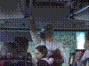 Cap0343.jpg