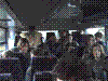 Cap0345.jpg