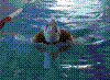 20030525_PICT0018.jpg