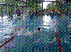 20030525_PICT0035.jpg