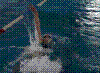 20030525_PICT0036.jpg