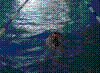 20030525_PICT0046.jpg