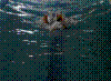 20030525_PICT0051.jpg