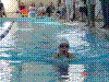 DSC00107.JPG