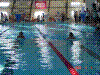 DSC00114.JPG