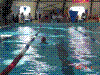 DSC00117.JPG