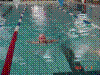 DSC00131.JPG