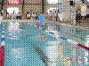 DSC00132.JPG